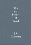 cover_thisisapictureofwind